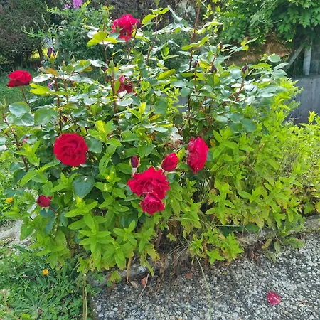 Lejlighed Granville, Sous-sol Amenage En Bel Granville