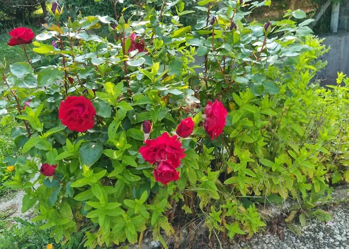 Διαμέρισμα Granville, Sous-sol Amenage En Bel Γκρανβίλ